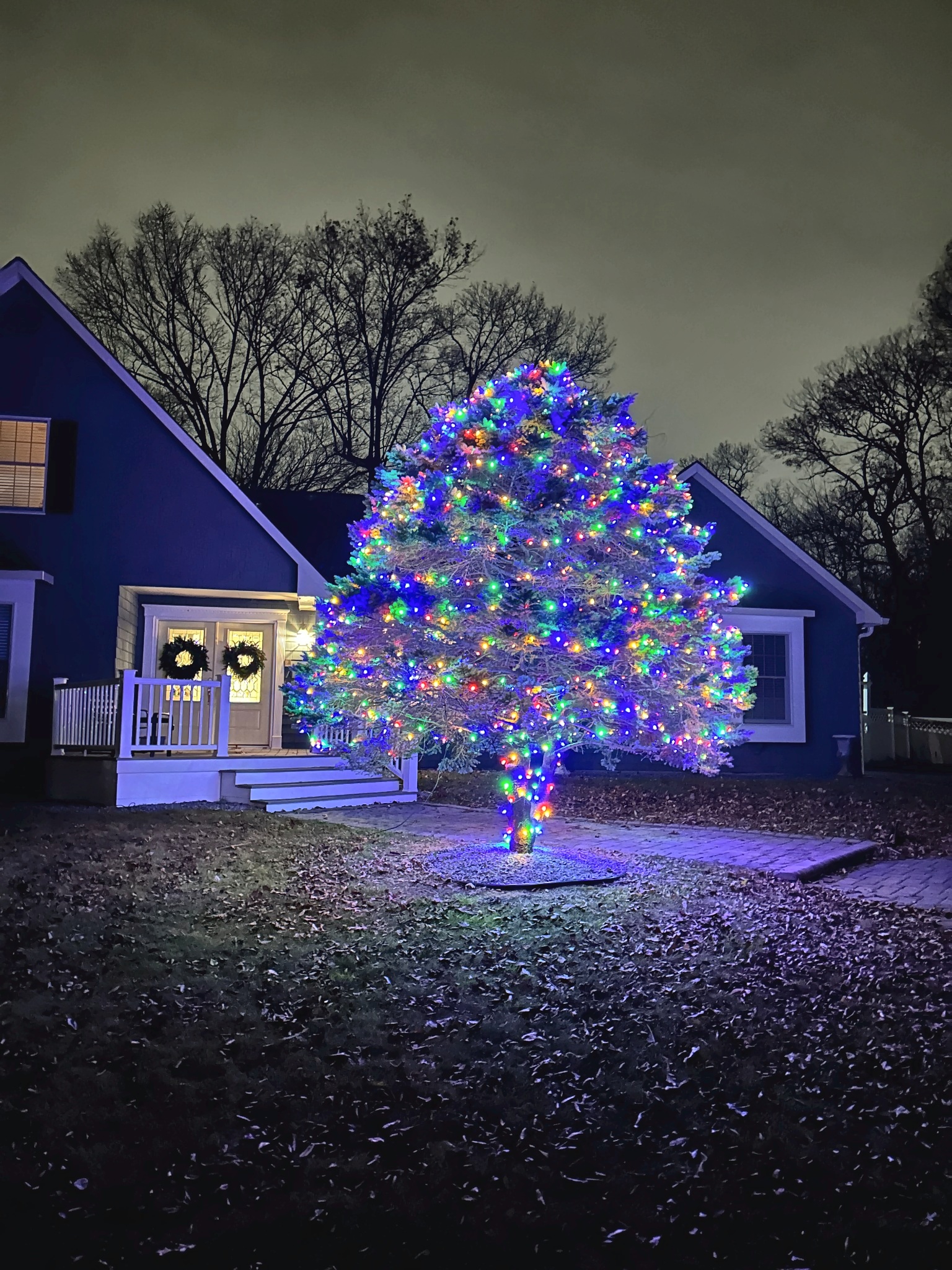Christmas Illuminations LI installation: A Tree That Shines Bright