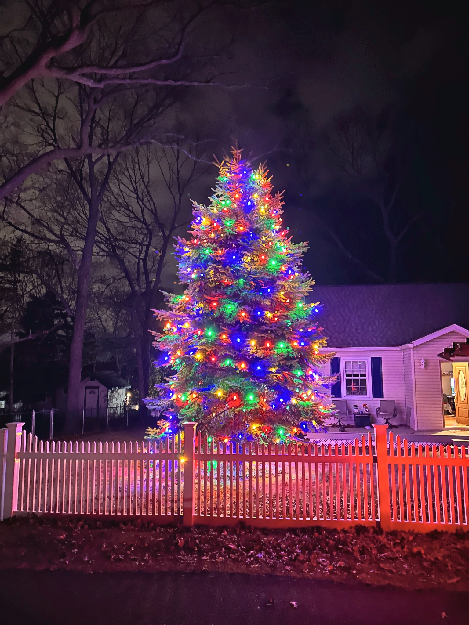 Christmas Illuminations LI installation: A Festive Evergreen